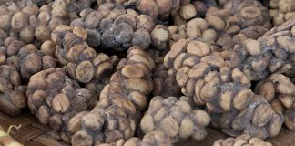 Das wohl seltenste Kaffee Getränk der Welt