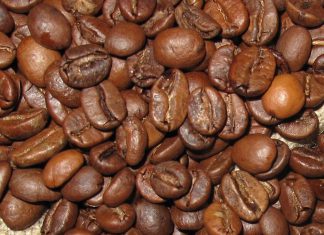 Arabica vs. Robusta Arabica oder Robusta Bohnen