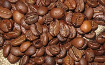 Arabica vs. Robusta Arabica oder Robusta Bohnen