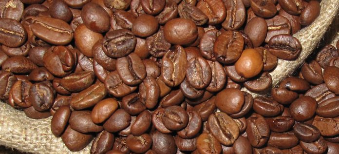 Arabica oder Robusta Bohnen Arabica oder Robusta Bohnen