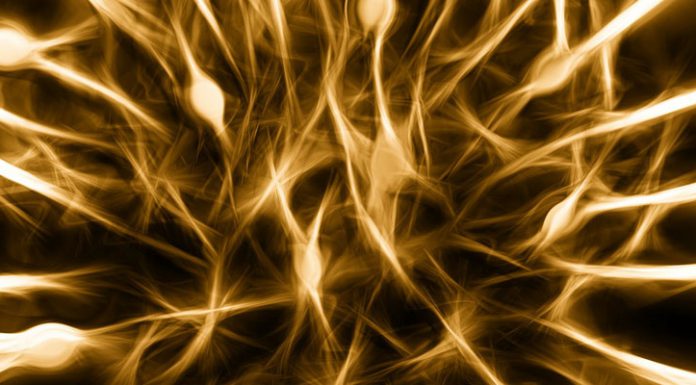 Kaffee gut für das Gehirn Kaffee gut fuer das Gehirn