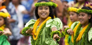 Kaffee aus der Karibik und Hawaii hawaii tänzer
