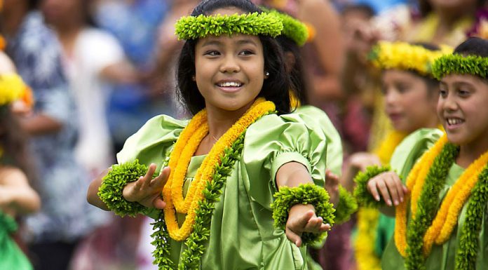 Kaffee aus der Karibik und Hawaii hawaii tänzer