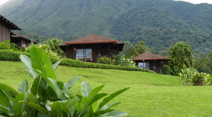 Kaffee aus Zentralamerika Kaffee aus Zentralamerika