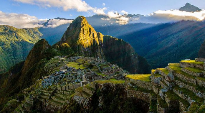 Kaffee aus Südamerika south america