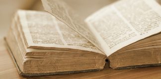 Buchtipp: Der Duft des Kaffees