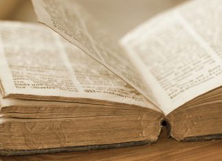 Buchtipp: Der Duft des Kaffees