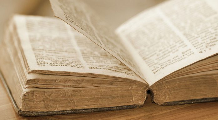 Buchtipp: Der Duft des Kaffees