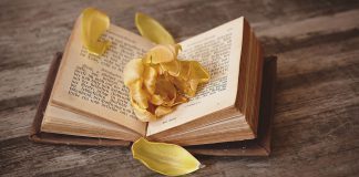 Buchtipp: Ein teuflisches Zeug