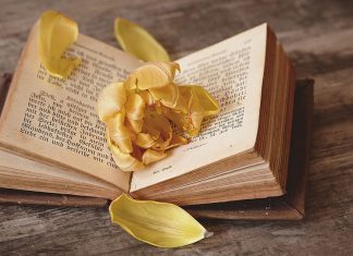 Buchtipp: Ein teuflisches Zeug