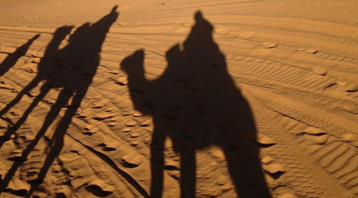 Kaffee kurios: Die (Wüsten-)Milch macht’s