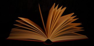 Buchtipp: Schwarzer Tod