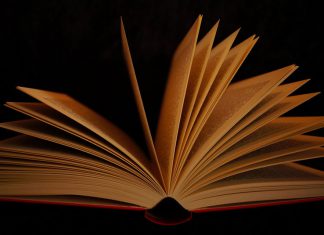 Buchtipp: Schwarzer Tod