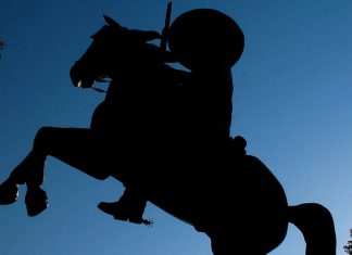 Mexiko Maragogype – die größte Kaffeebohne der Welt