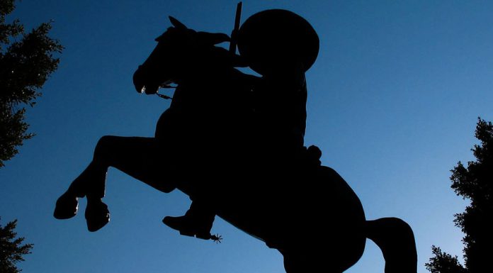 Mexiko Maragogype – die größte Kaffeebohne der Welt