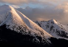 Die bergische Kaffeetafel