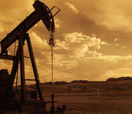 Kaffeeklatsch – Wussten Sie, dass…