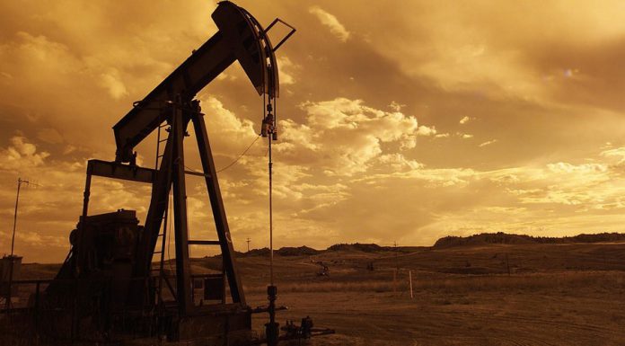 Kaffeeklatsch – Wussten Sie, dass…