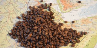 Die Äthiopische Kaffeezeremonie