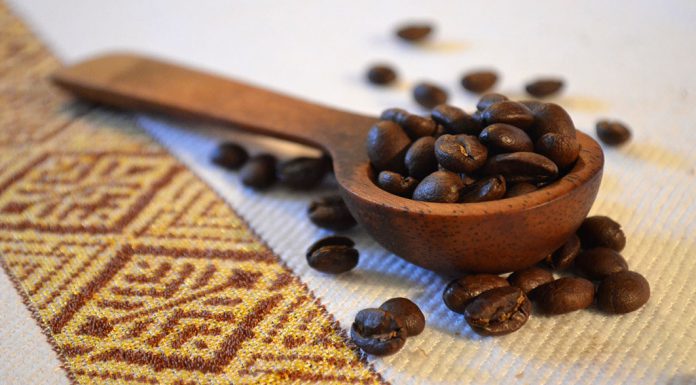 Sortenreiner Kaffee aus Äthiopien: Sidamo Bio