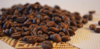 Kaffee aus Äthiopien geschützt