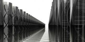 Jetzt gibts auch den genetischen Fingerabdruck für Kaffee!