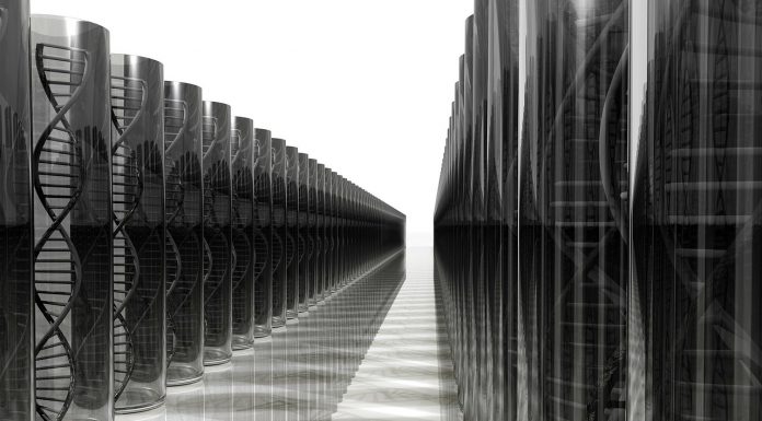 Jetzt gibts auch den genetischen Fingerabdruck für Kaffee!