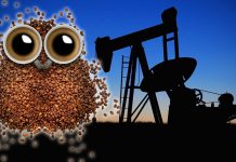 Wussten Sie eigentlich, dass …