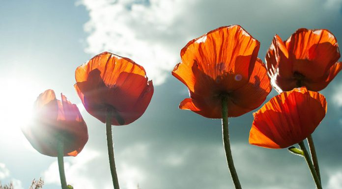 O sole mio – der Sommer ist da!