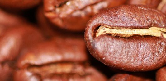 100% Robustabohnen – schmeckt das?