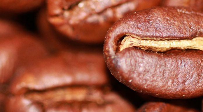 100% Robustabohnen – schmeckt das?