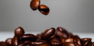 Alles Bohne Alles Bohne