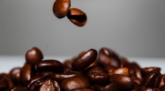 Alles Bohne Alles Bohne