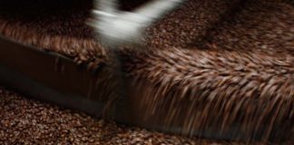 Schreyögg Aurum – Fairtrade Kaffee vom Feinsten