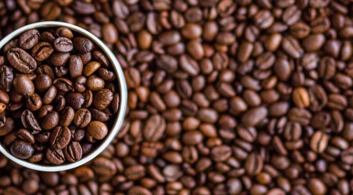 Nannini Ducale & Nannini Araldica Nannini Ducale Nannini Araldica