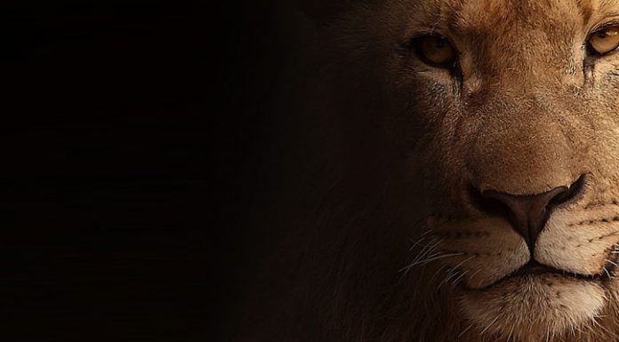 Espresso Express Meldung