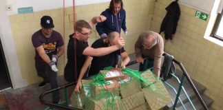 Kein Fahrstuhl – Wir versenden trotzdem! Kein Fahrstuhl – Wir versenden trotzdem!