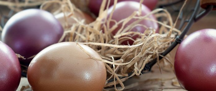 Oster Newsletter Kaffee Angebote von Nannini