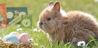 Tolle Ostergeschenke für Kaffeeliebhaber » Kaffee Geschenke Ostergeschenke für Kaffee-Liebhaber