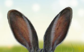 Finden Sie die Oster-Angebote bei Espresso International :) Newsletter für Ostern