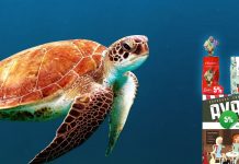 Avanti Kaffee im Angebot » Stöbern Sie gleich rein! Avanti Kaffee Angebot