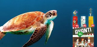 Avanti Kaffee im Angebot » Stöbern Sie gleich rein! Avanti Kaffee Angebot