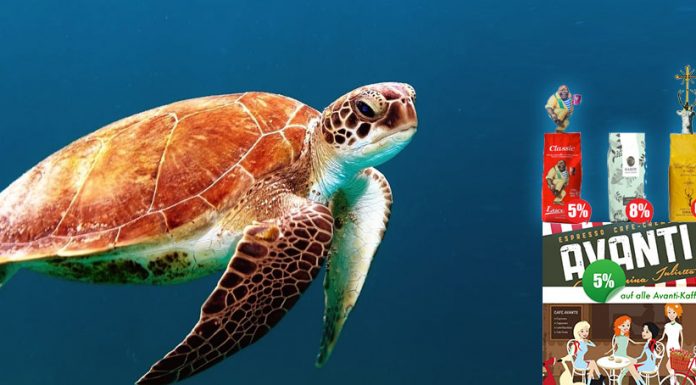 Avanti Kaffee im Angebot » Stöbern Sie gleich rein! Avanti Kaffee Angebot