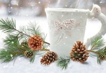 Mokaflor Rosso im Angebot. Jetzt 15% sichern! Newsletter Dezember