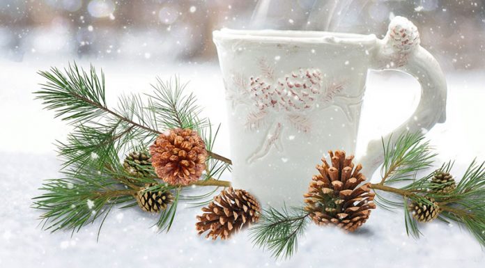 Mokaflor Rosso im Angebot. Jetzt 15% sichern! Newsletter Dezember