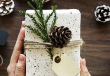 illy Sonderedition | Art Collection | Max Petrone Newsletter Weihnachten