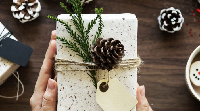 illy Sonderedition | Art Collection | Max Petrone Newsletter Weihnachten