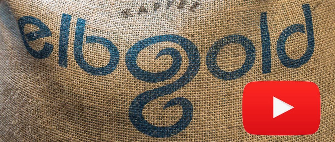 elbgold schanze video